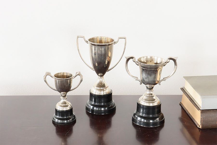 Set of 3 Trophies - Cleared Décor