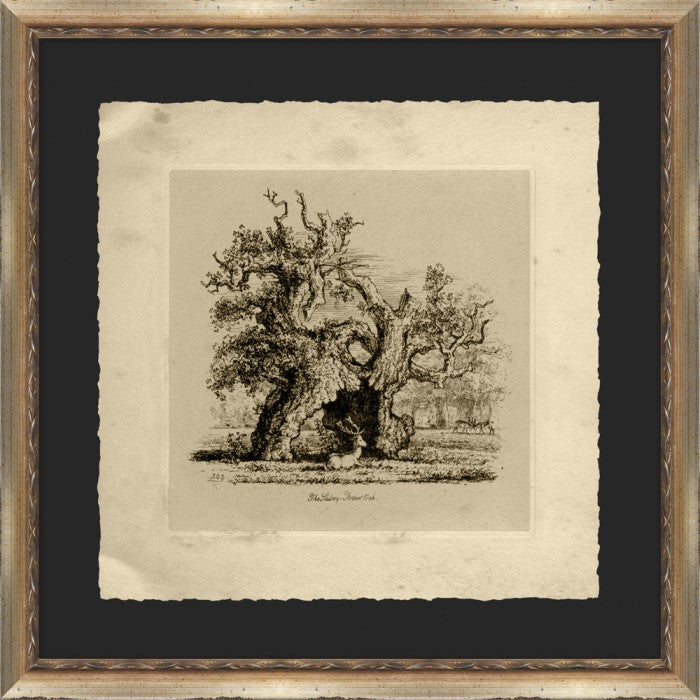 The Lalcey Forest Oak 22 5 x 22 5 1