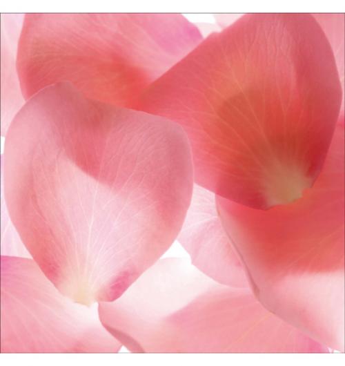 Pink Flower Petals 30W x 30H 7
