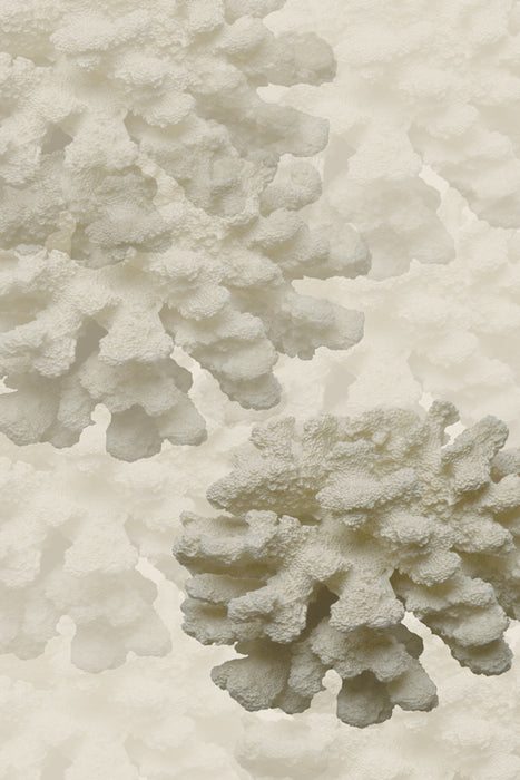 Coral I 30W x 45H 7