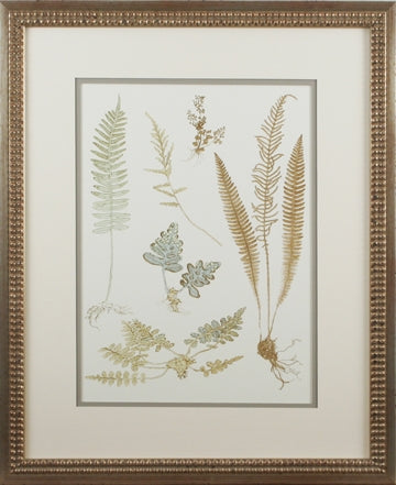 Small Fern Impressions C set of 4 8
