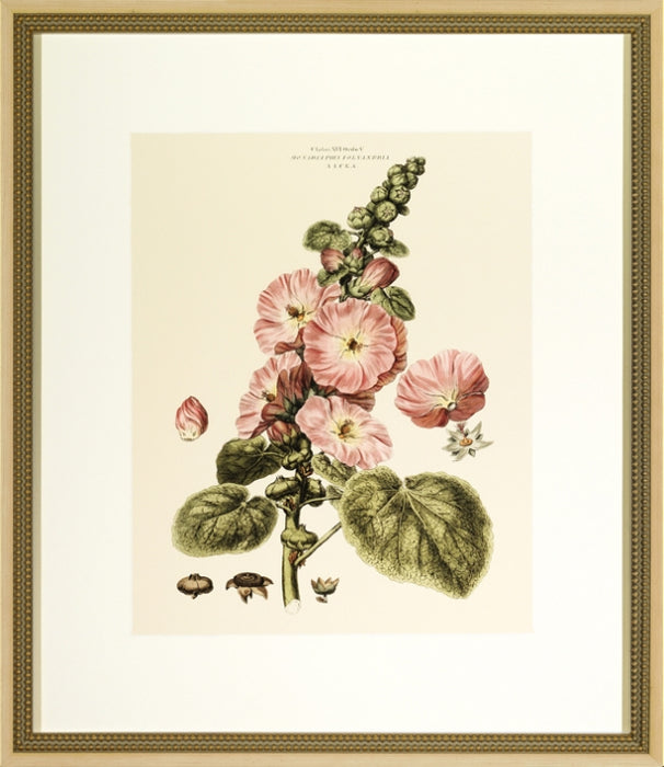 Blushing Pink Florals III 7