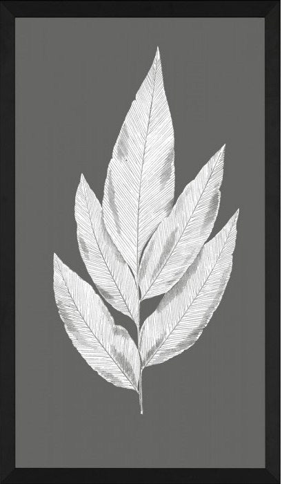 Charcoal Leaves III 15 5 x 25 5 1