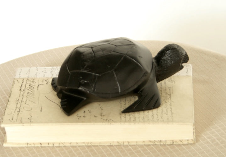 Carved Wood Turtle