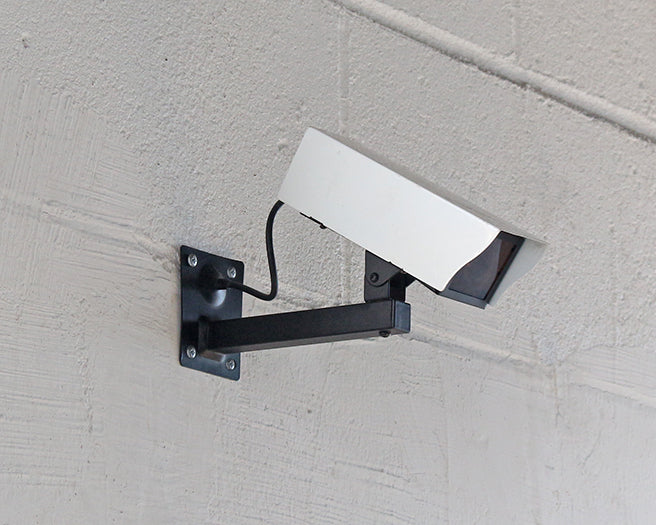 Surveillance Camera 2