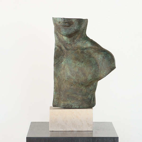 Torso Artem - Cleared