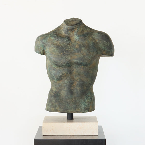 Torso Ariston - Cleared