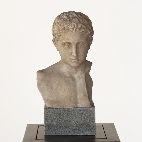 Bust of a Regal Roman - Cleared