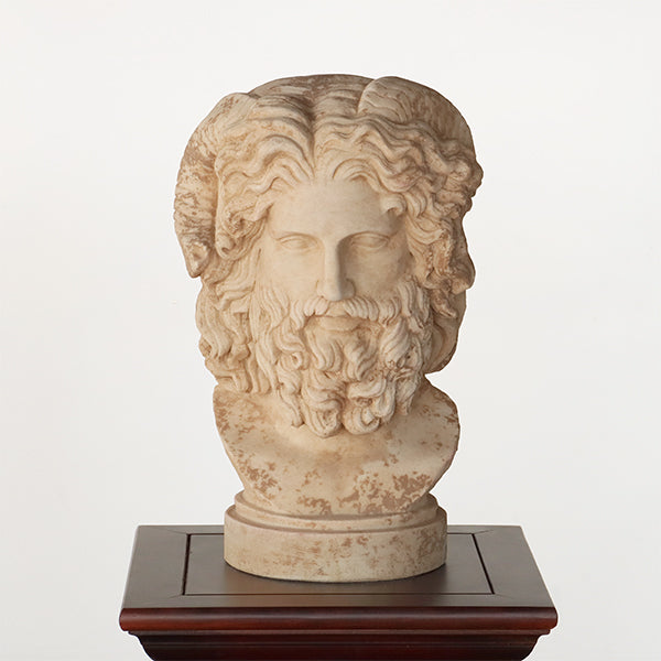 Bust of Zeus - Cleared