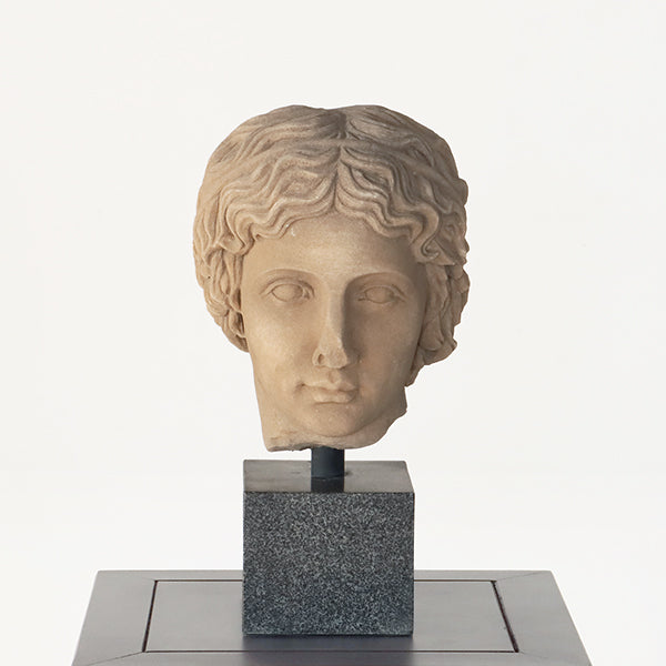 Bust of a Roman Youth - Cleared