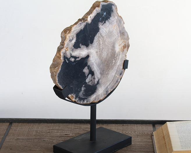 FIG343 Petrified Wood Sculpture With Stand