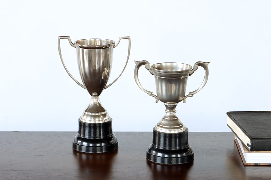 Set of 2 Trophies - Cleared Decor