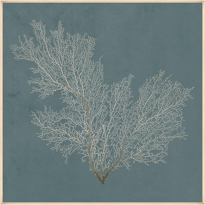 Beauty Under The Sea VII 24W X 24H