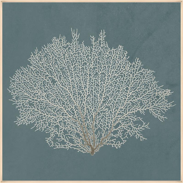 Beauty Under The Sea VIII 24W X 24H