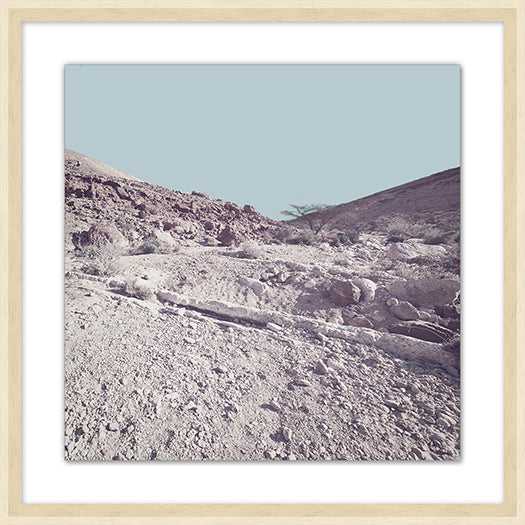 Pastel Desert 7 21.25W X 21.25H