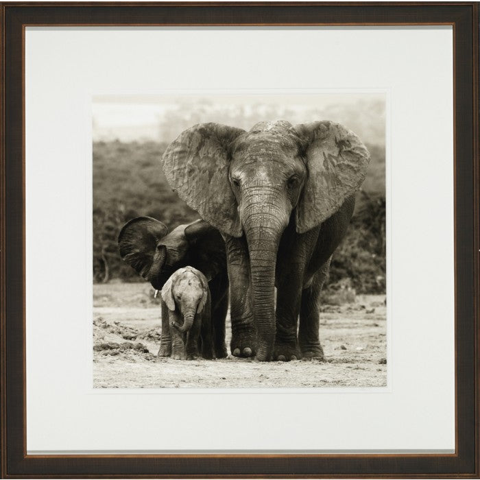 A Protective Mother 21.75W x 21.75H