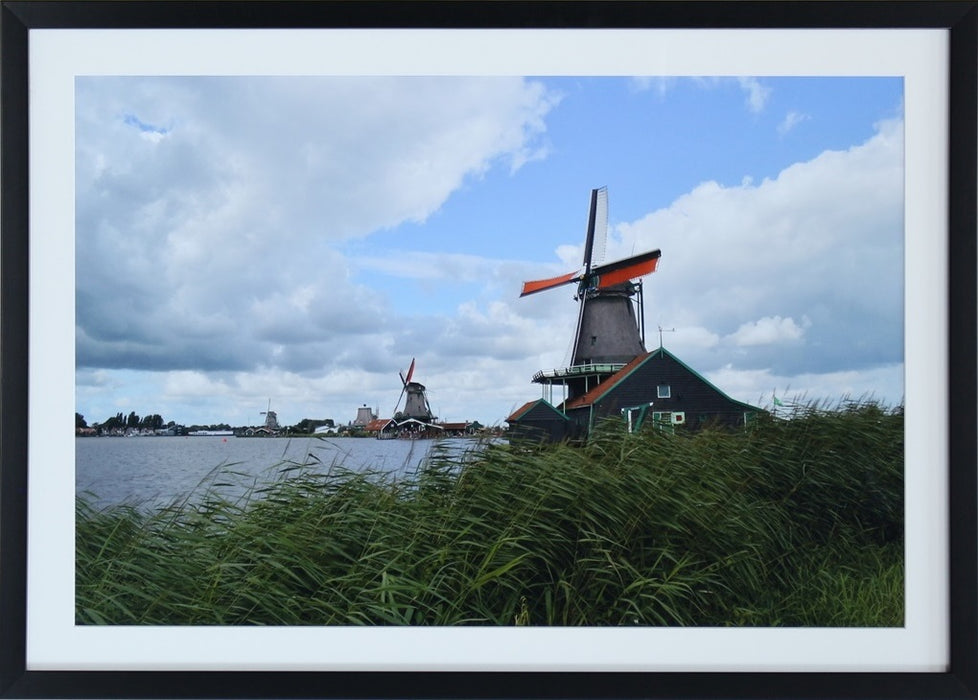 PH338 Windmills 28W x 20H