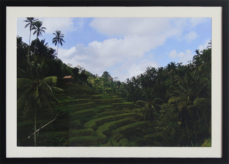 PH370 Rice Terraces 28W x 20H