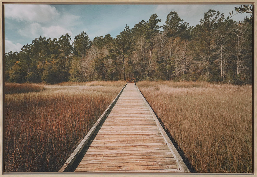 Bottomlands 36W X 24H