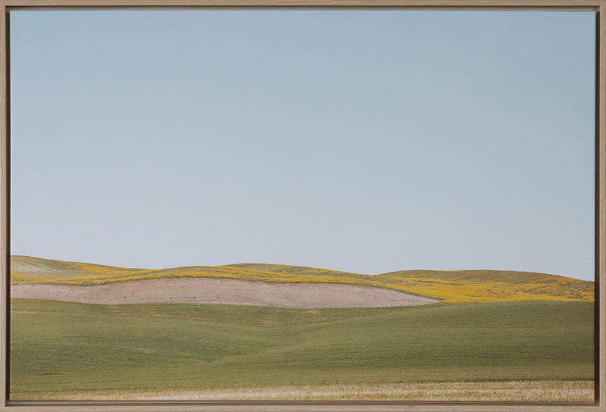 Yellow Land 36W X 24H