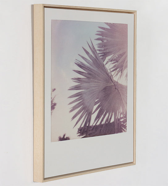 Coastal Breeze 24W X 28H