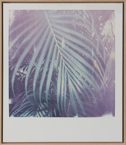 Palms in the Coastal Breeze 26W X 28H