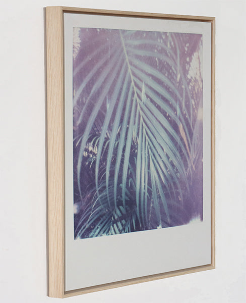 Palms in the Coastal Breeze 26W X 28H