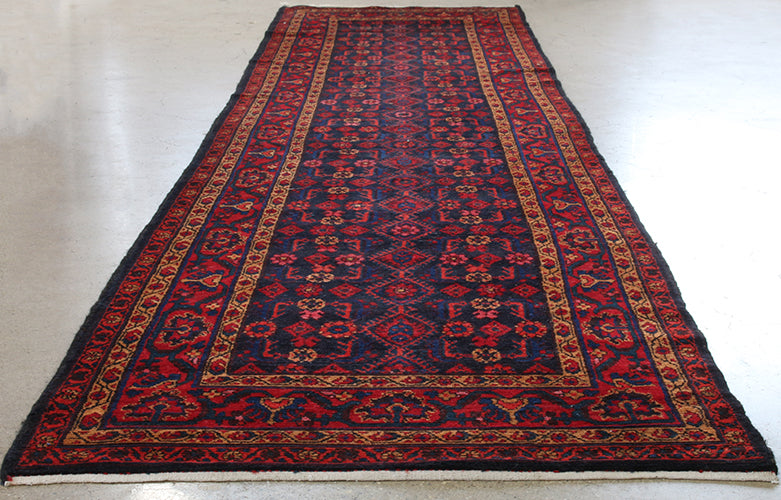 Persian Runner - 3'6 X16' Runner