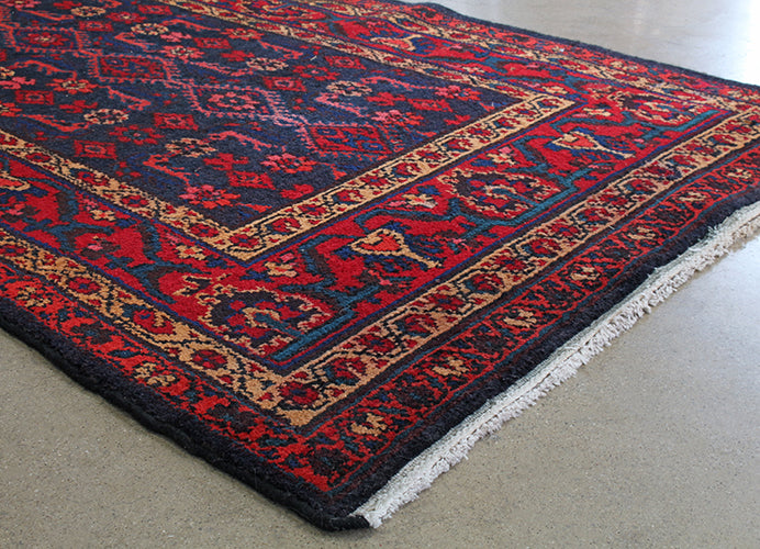 Persian Runner - 3'6 X16' Runner
