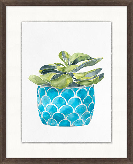 Decorated Succulent 6 17W X 21H