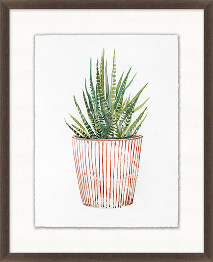 Decorated Succulent 2 17W X 21H