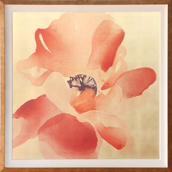 Himalayan Poppy 1 41.25W x 41.25H