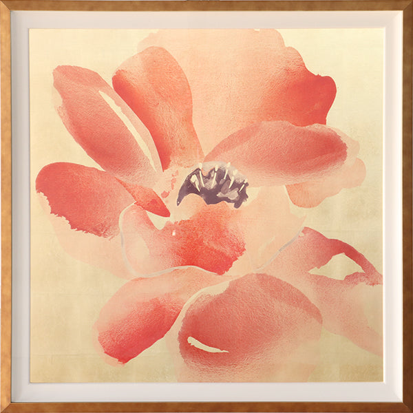 Himalayan Poppy 2 41.25W x 41.25H
