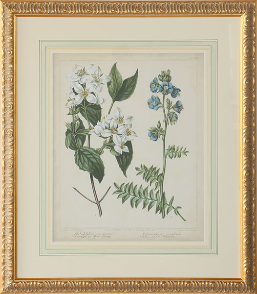 Cottage Florals I 27W x 31H - Cleared Art