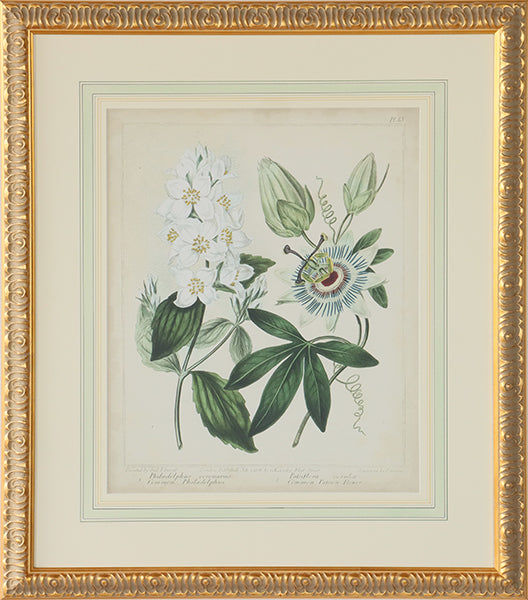 Cottage Florals II 27W x 31H - Cleared Art