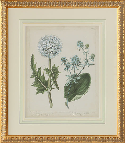 Cottage Florals III 27W x 31H - Cleared Art