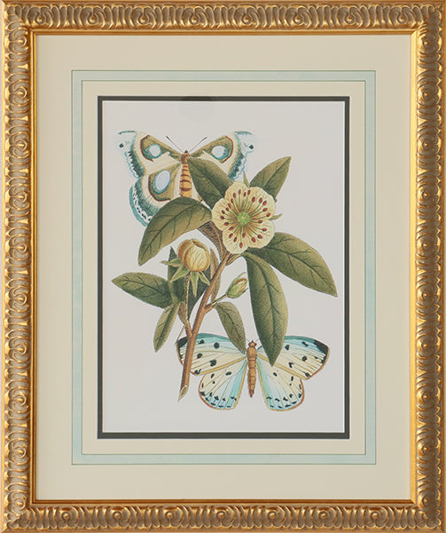 Butterfly Oasis I 22W x 27H - Cleared Art