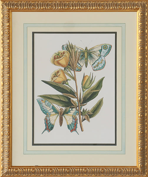 Butterfly Oasis II 22W x 27H - Cleared Art