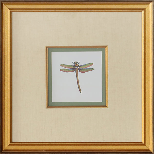 Miniature Dragonfly I 18.5W x 18.5H - Cleared Art