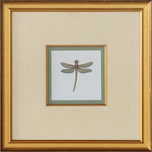Miniature Dragonfly II 18.5W x 18.5H - Cleared Art