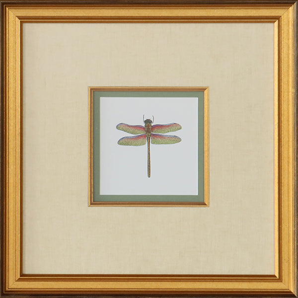 Miniature Dragonfly III 18.5W x 18.5H - Cleared Art