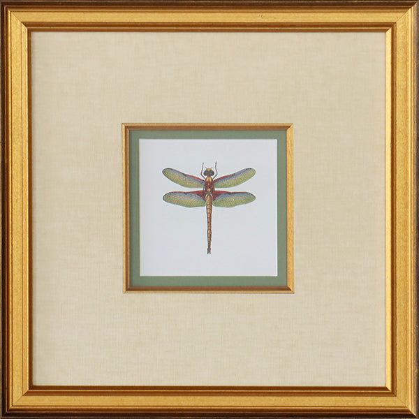 Miniature Dragonfly IV 18.5W x 18.5H - Cleared Art