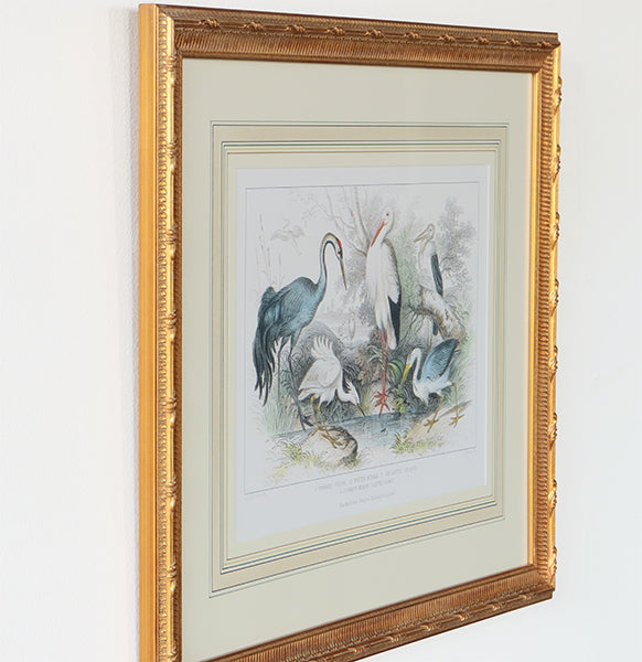 Herons, Egrets, & Cranes 27.25W x 22H - Cleared Art