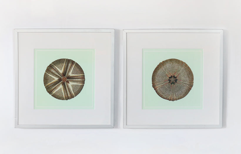 Sea Jewel on Aqua Series (Set of 2) 25W x 25H