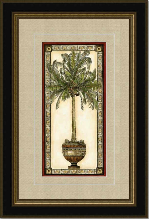 Red Bordered Palm Series