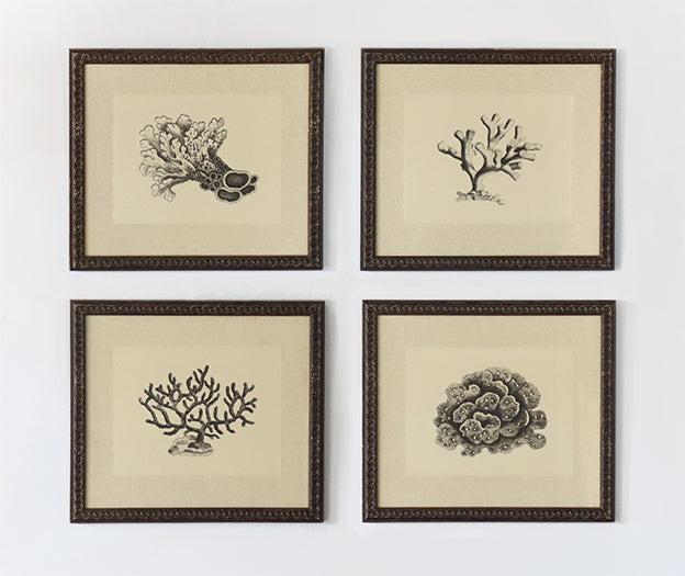 Coral on Khaki Series (Set of 4) 17W x 15H