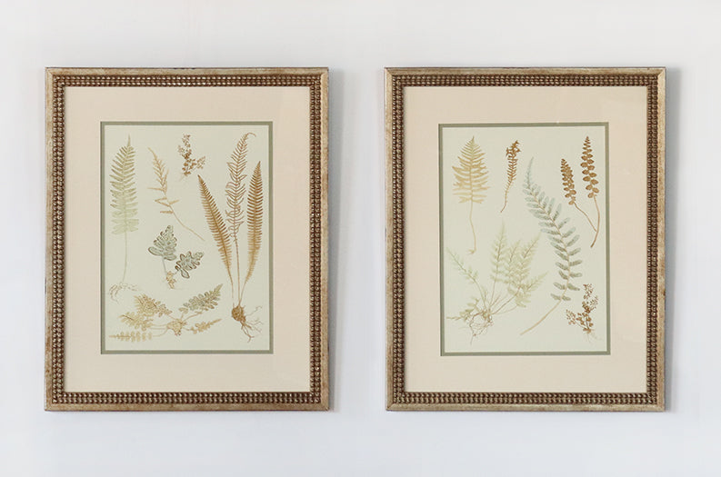 Small Fern Impressions (Set of 2) 18W x 22H