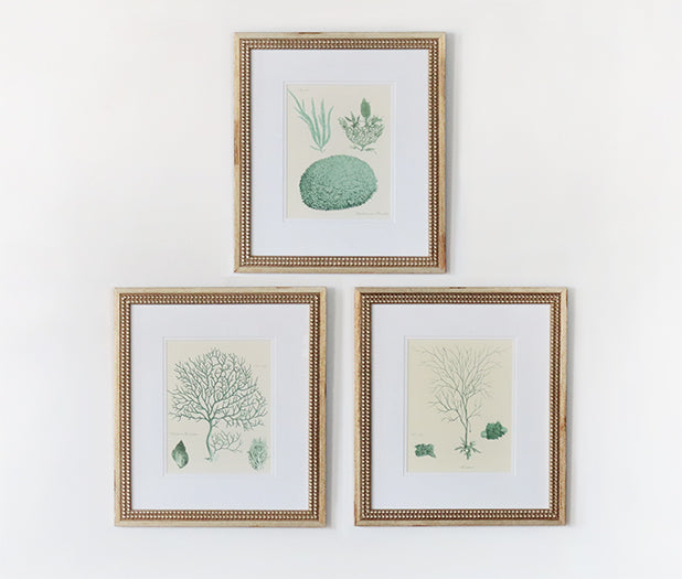 Teal Ocean Collection I (Set of 3) 15W x 18H