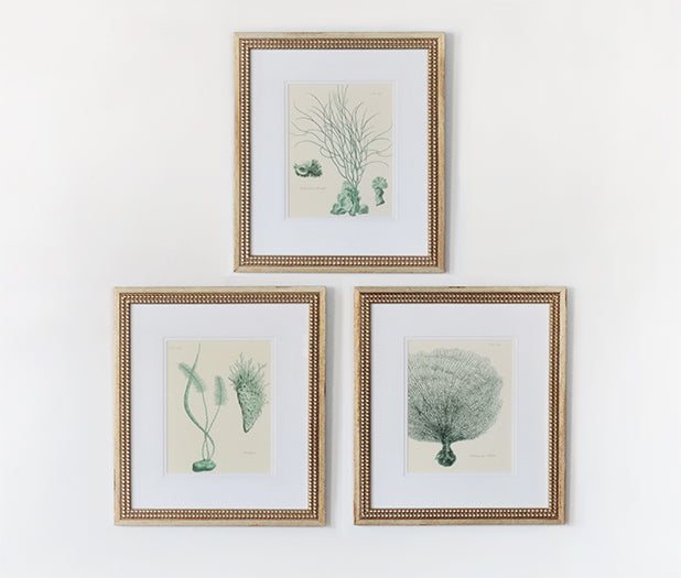 Teal Ocean Collection II (Set of 3) 15W x 18H