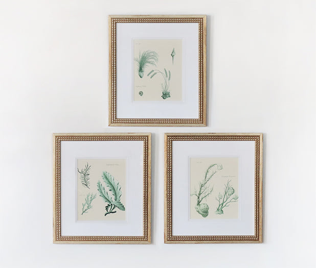 Teal Ocean Collection III (Set of 3) 15W x 18H
